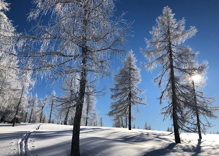 Sunlodge C3 Schladming-dachstein